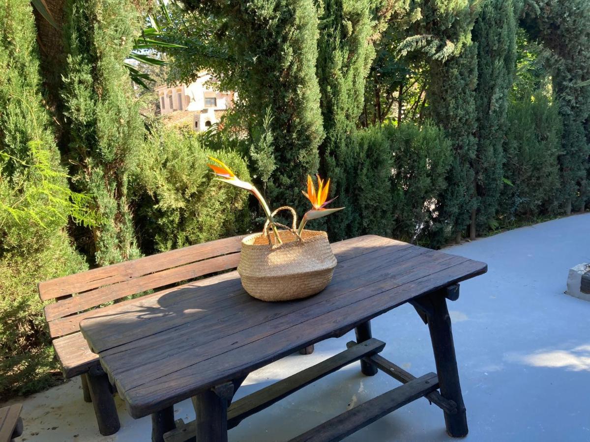 Estudio Pedregalejo Garden מאלגה מראה חיצוני תמונה